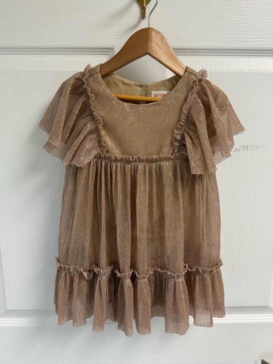 Cat & Jack Other - Cat & Jack Shimmery Taupe Ruffle Dress Girls 2T‎